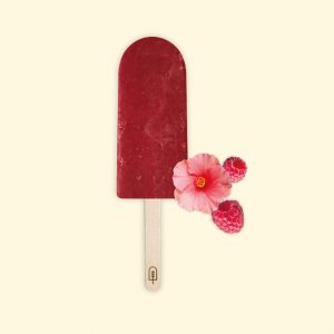 Pop_avecfruits_fraise_hibiscus
